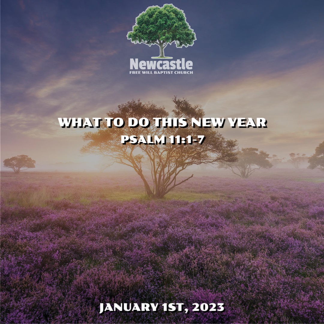 What to Do this New Year episode artwork