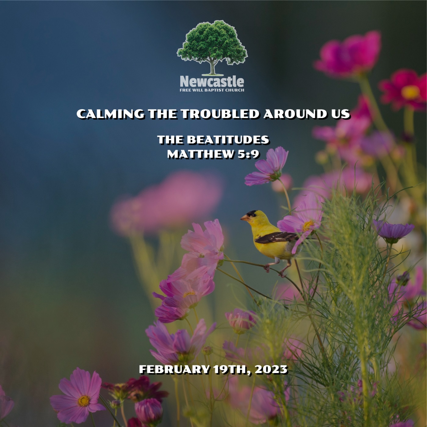 Calming the Troubled Around Us episode artwork