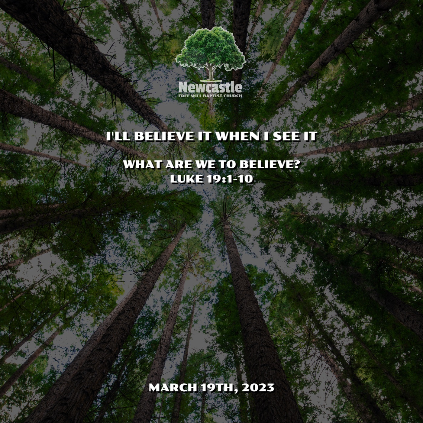 I’ll Believe It When I See It episode artwork