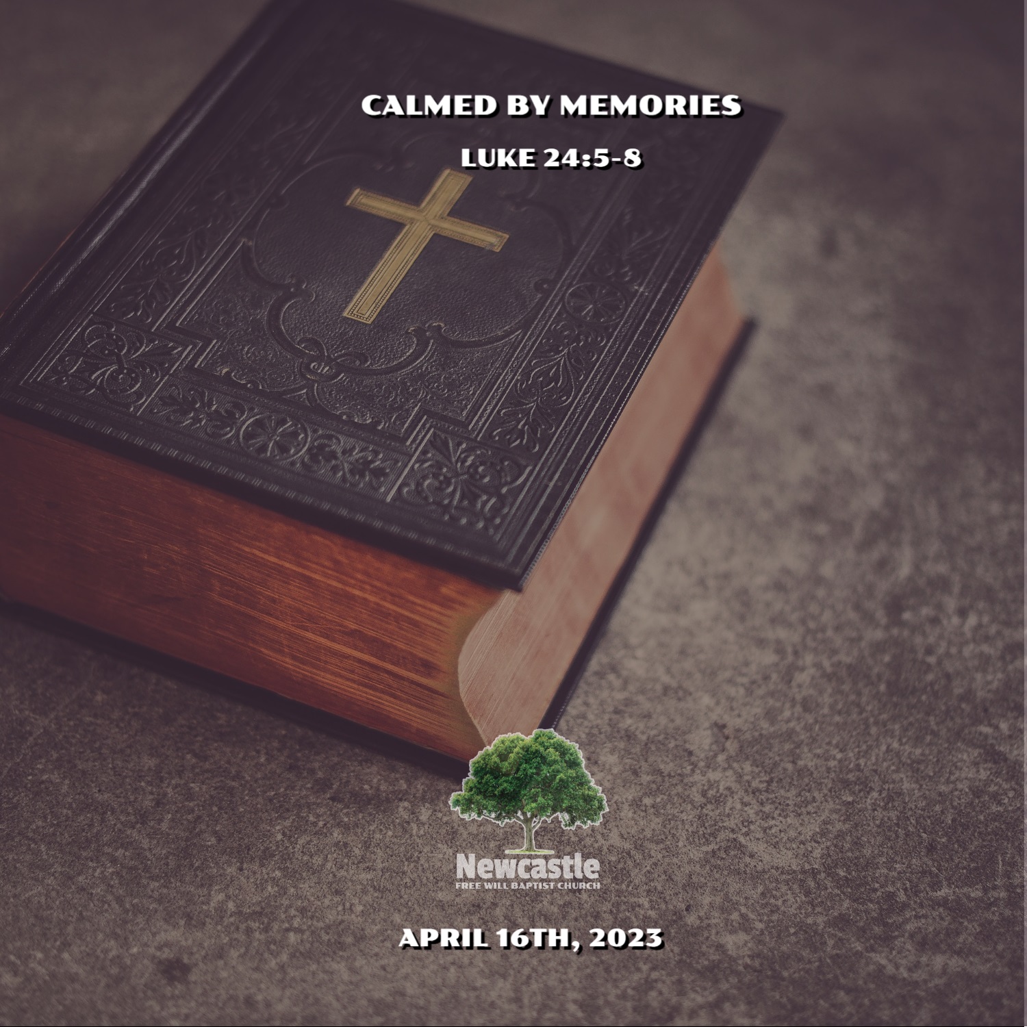 Calmed by Memories episode artwork
