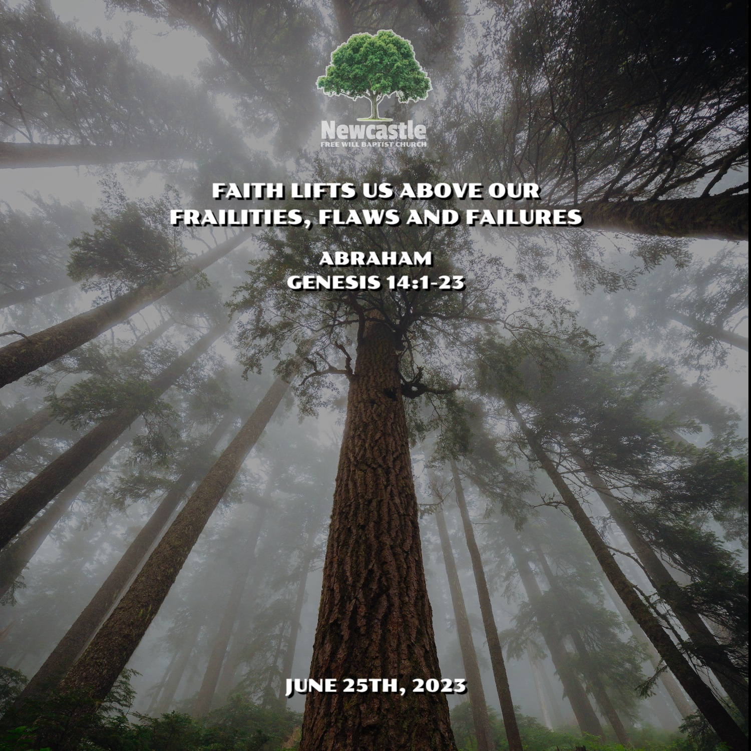 Faith Lifts Us Above our Frailties, Flaws and Failures episode artwork
