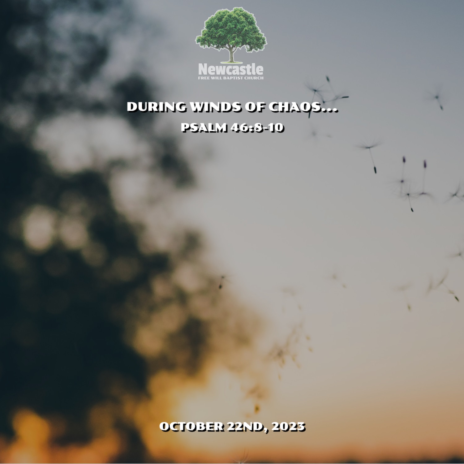 During Winds of Chaos… episode artwork
