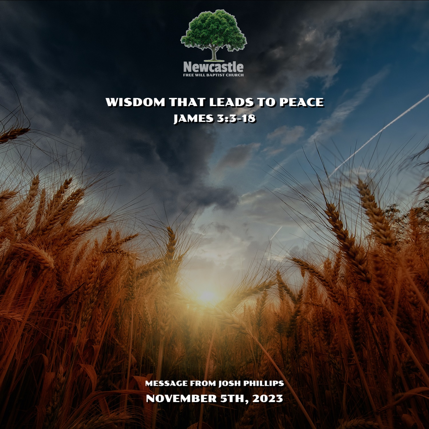 Wisdom That Leads to Peace episode artwork