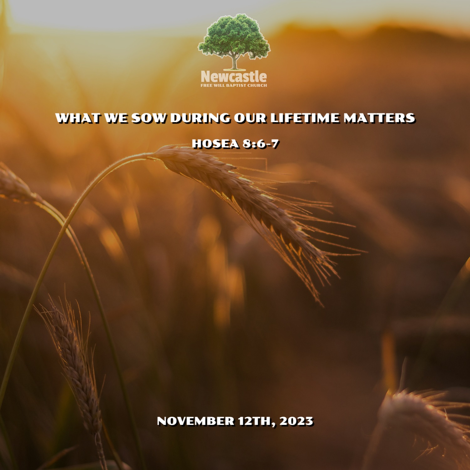 What We Sow During our Lifetime Matters episode artwork
