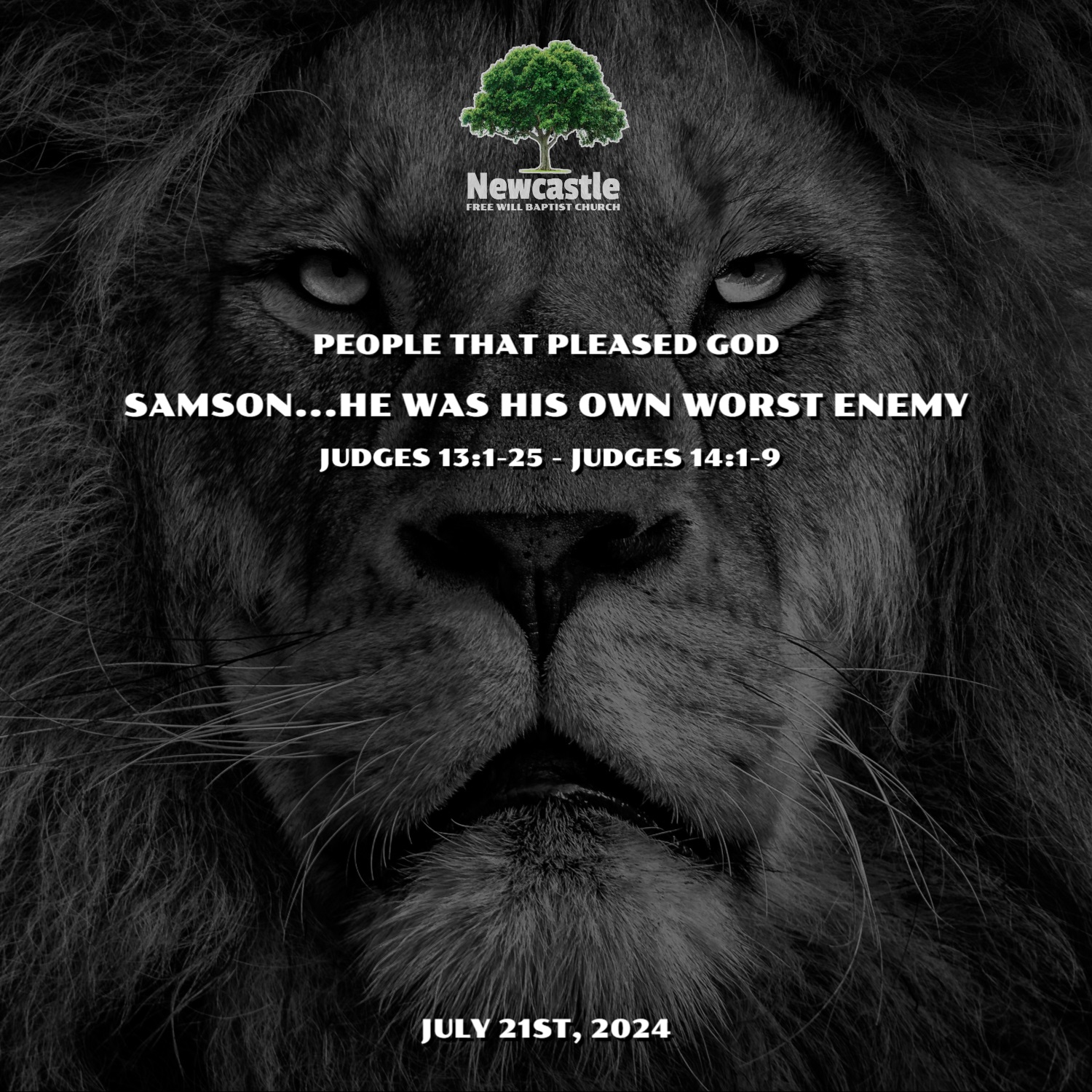 Samson…He was His Own Worst Enemy episode artwork