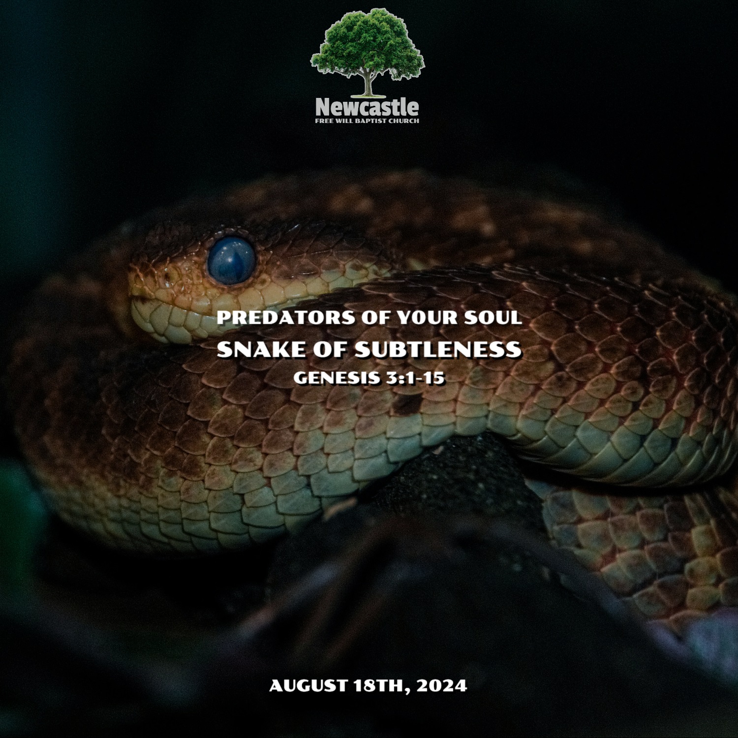 Snake of Subtleness episode artwork