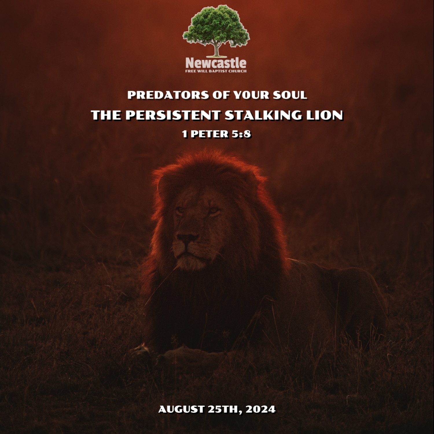 The Persistent Stalking Lion episode artwork