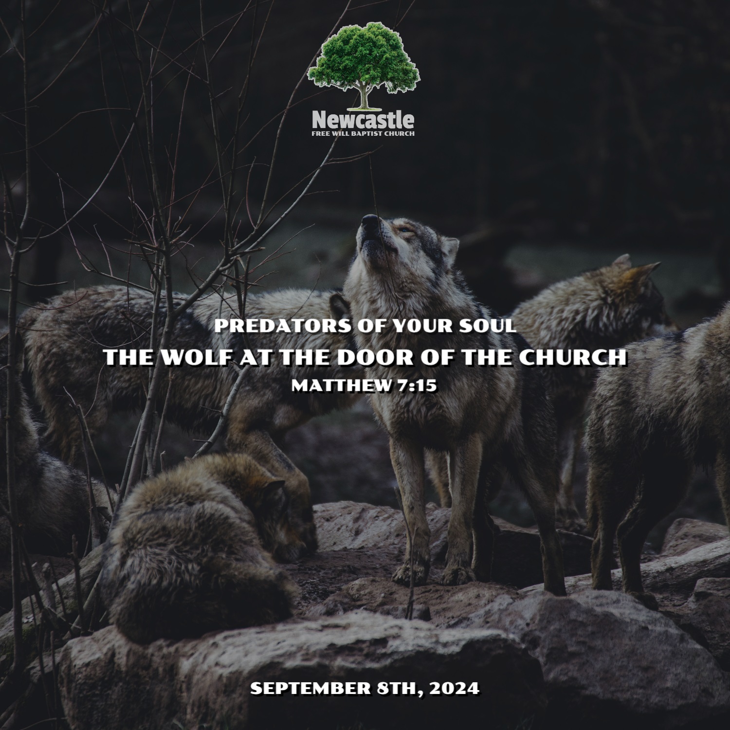 The Wolf at the Door of the Church episode artwork