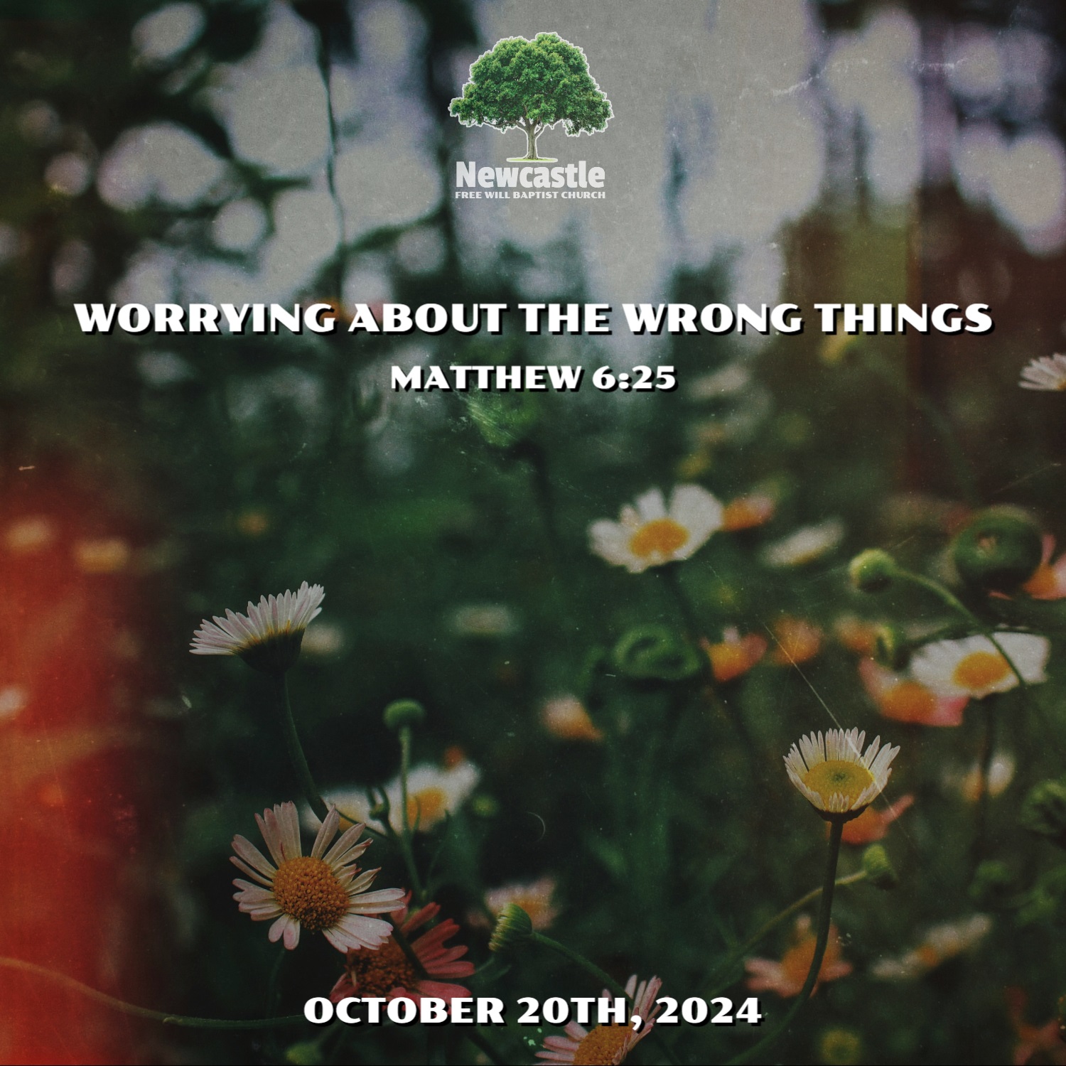 Worrying About the Wrong Things episode artwork