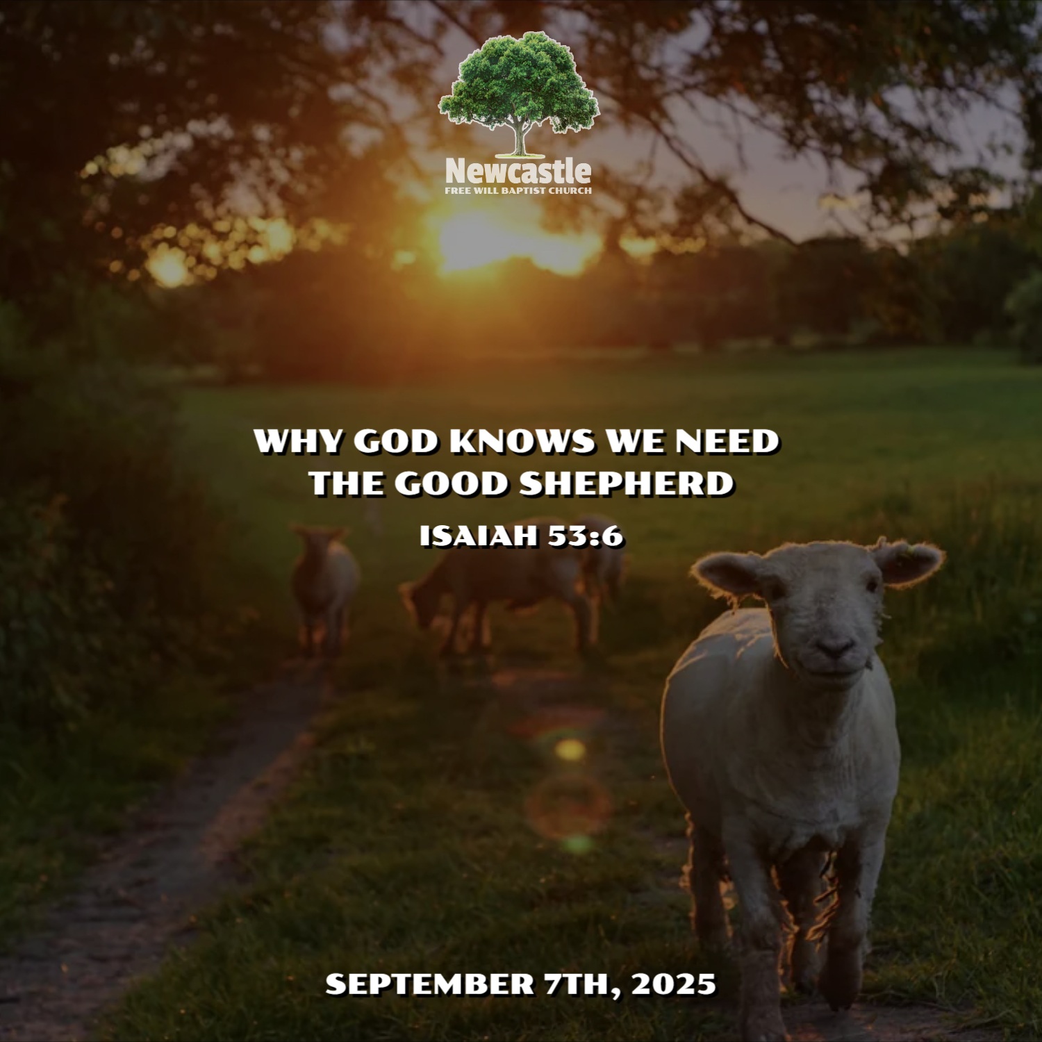 Why God Knows We Need the Good Shepherd episode artwork